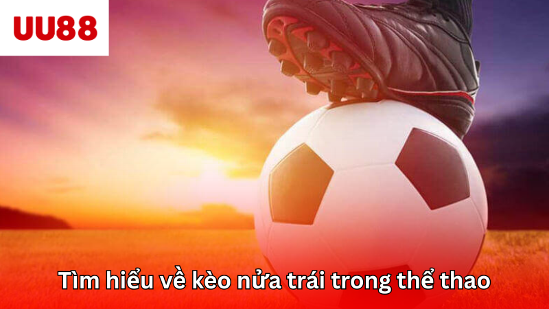 Tìm hiểu về kèo nửa trái trong thể thao