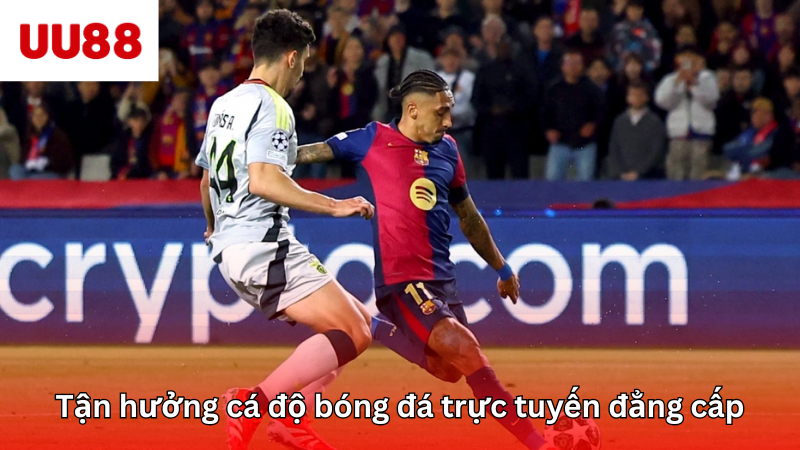 Tận hưởng cá độ bóng đá trực tuyến đẳng cấp