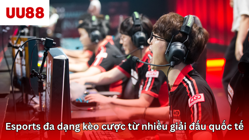 Esports với đa dạng kèo cược đến từ nhiều giải đấu quốc tế