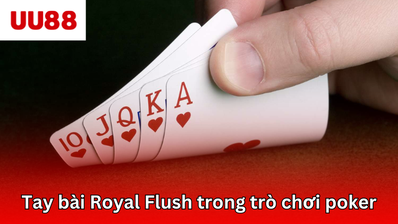 Tay bài Royal Flush là mạnh nhất trong trò chơi poker
