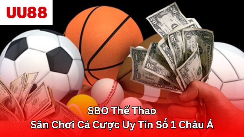 sbo thể thao