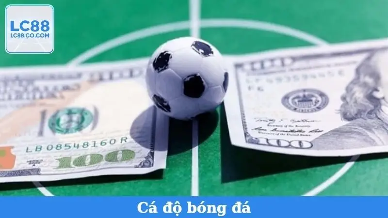 Cá Độ Bóng Đá