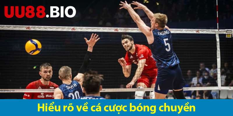 Cược bóng chuyền – Khám phá các loại kèo và quy tắc khi chơi