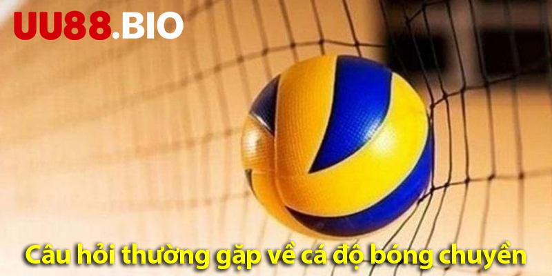 Cược bóng chuyền – Khám phá các loại kèo và quy tắc khi chơi